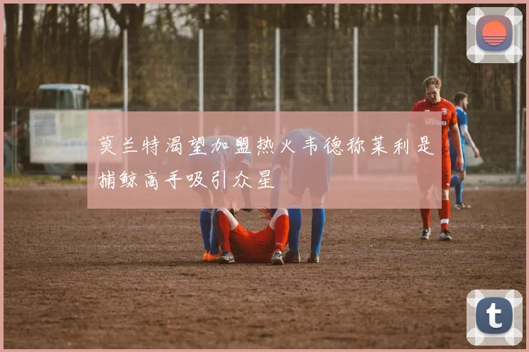 莫兰特渴望加盟热火韦德称莱利是捕鲸高手吸引众星