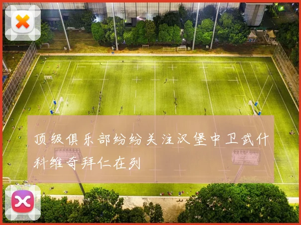 顶级俱乐部纷纷关注汉堡中卫武什科维奇拜仁在列