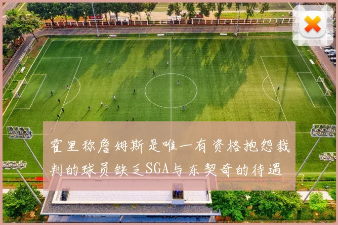 霍里称詹姆斯是唯一有资格抱怨裁判的球员缺乏SGA与东契奇的待遇